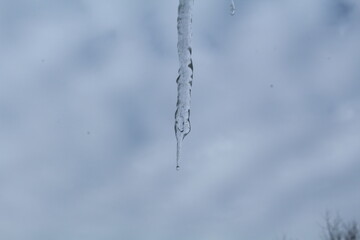 icicles on a roof