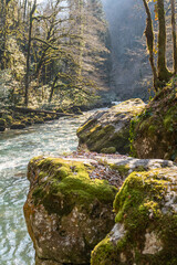 River Gorge MossyRocks Spring Sunlight: Scenic Caucasian Mountain River Flowing Through Gorge, Springtime, Natural Beauty