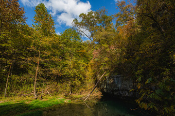 Fall colors in the trees, in the Missouri Ozarks.