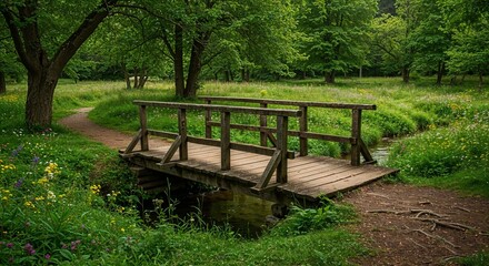 Fototapeta premium Wooden bridge over stream in lush green countryside landscape