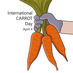 Illustration International Carrot day, april 4. Carrots in hand