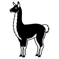 Obraz premium an artistic, black and white illustration of a llama standing. The llama has a distinctive appearance, with its long neck, and fluffy fur. The llama's expression is calm and proud vector illustration