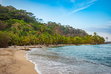 Obraz premium Stunning Beach View of Clear Waters and Lush Palm Trees in Sapzurro, Choco, Colombia