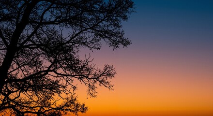 Silhouette of a bare tree against a stunning twilight gradient sky featuring rich oranges and blues conveying a serene and tranquil atmosphere