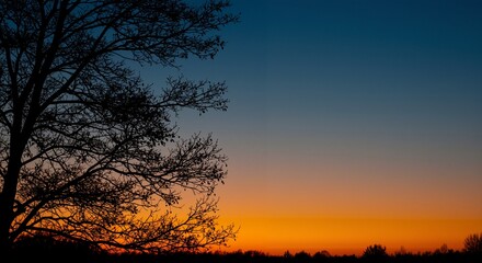 Fototapeta premium Twilight sky with silhouetted tree branches creating a serene atmosphere at sunset with vibrant colors blending gracefully