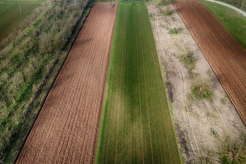 Linee dei campi seminati ed incolti dal drone, Alessandria, Piemonte, Italia
