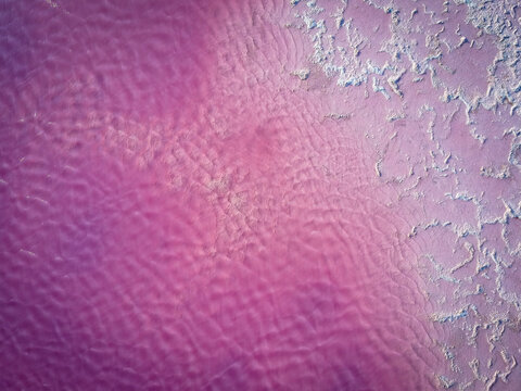 pink lake in the goldfields of esperance western australia