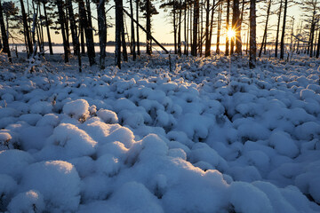 Sunset through the trees in front of frozen lake, heather under snow caps in the foreground