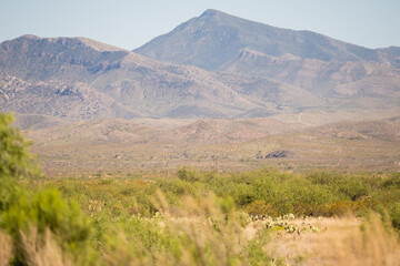 Fototapeta premium mountain landscape in the summer in Arizona