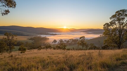 Misty sunrise over rolling hills and lush green landscape