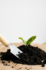Gardening basics. Young plant seedling with trowel in rich soil