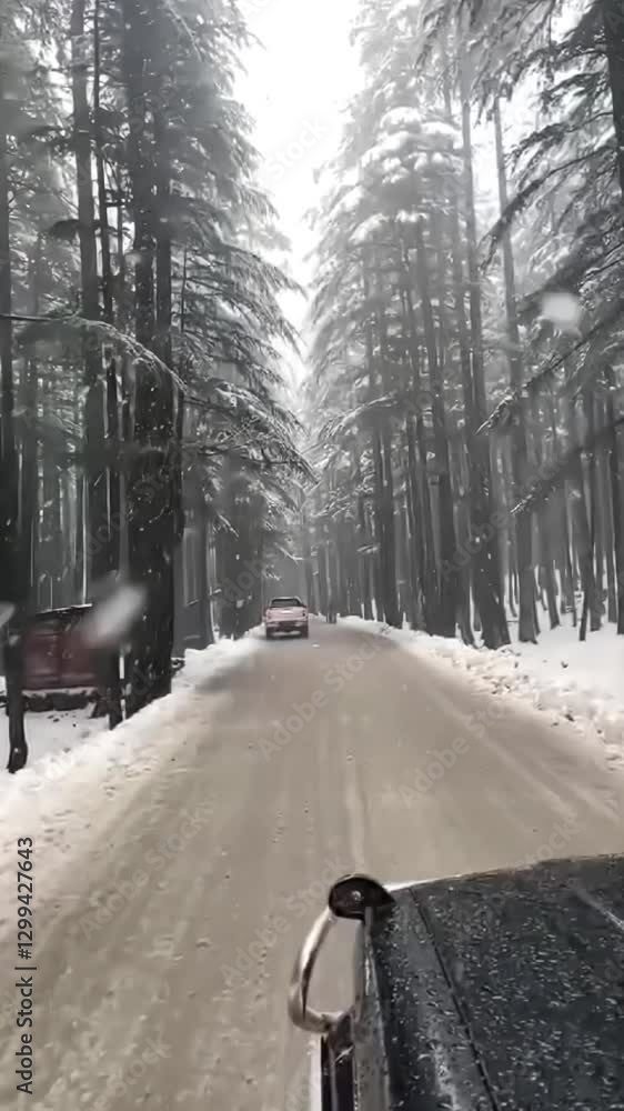 Wall mural driving in forest in winters with snowing in air and trees covered in ice