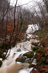 waterfall in the forest