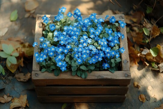 A rustic wooden crate overflowing with vibrant blue forget-me-not flowers. - Powered by Adobe