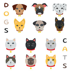 Fototapeta premium Dog and Cat Head Icons - 12 Variations of Breeds and Colors.