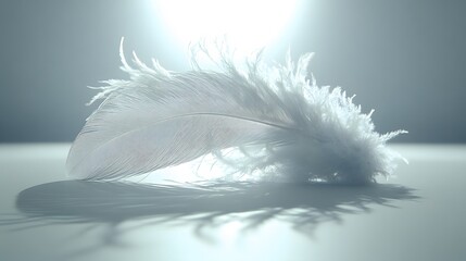 Obraz premium Serene White Feather Closeup Soft Light Background