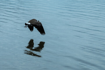 The Long Jetty is a suburb of the Central Coast region of New South Wales, Australia, located on a peninsula between Tuggerah Lake and the Pacific Ocean south of The Entrance