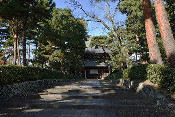 相国寺　松に囲まれる法堂【重要文化財】