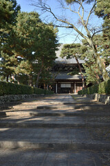 Fototapeta premium 相国寺 松に囲まれる法堂【重要文化財】