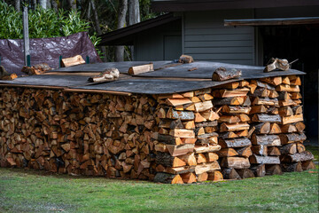 Large stack of freshly cut and split logs into firewood, covered to protect from weather, on lawn in side yard of house, winter heat source
