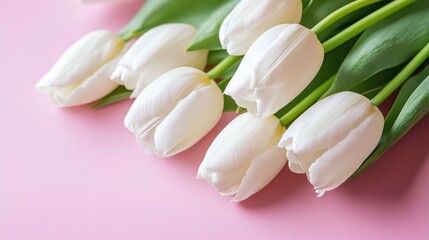Obraz premium A single elegant bouquet of tulips resting on a pastel pink backdrop, radiating floral charm.