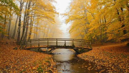 Autumn serenity wooden bridge over stream enchanted forest nature