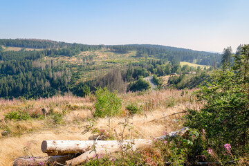 The circular walk in the Grumbach Valley, located in the Harz Mountains (Saxony, Germany) offers great views of forests, moutains and lakes. It's located near the rural area of Hahnenklee-Bockswiese.