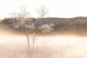 霧氷と気嵐