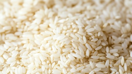 Close-up of advanced rice harvesting technology in modern USA showcases innovation