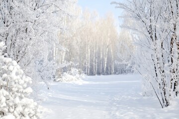 Snow-Covered Winter Forest