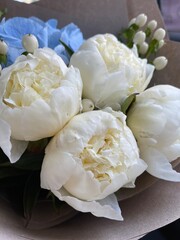 Bouquet of fresh white peonies, blue hydrangea, hypericum berries, freesia, close up