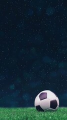 Fototapeta premium Soccer ball on grass at night sky