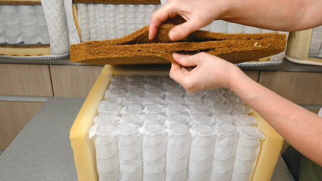 A mattress sample is in the woman's hands. Mattress filler. Independent spring blocks and fillers made of coconut coir, foam rubber, algae, cotton in a cotton cover