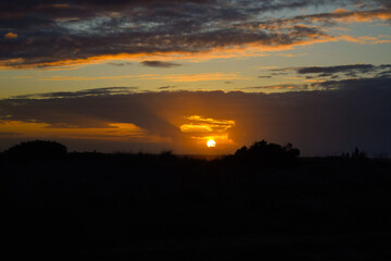 Silhouettes of Bushes Against an Orange Cloudy Sunset