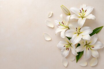 White Lilies on a Beige Surface