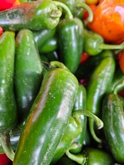 Pile of fresh green jalapeno chili peppers