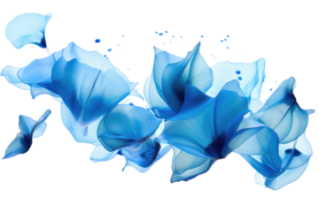 flying blue petals  on transparent background