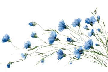 Fototapeta premium Wildflower AI Art Isolated In Clean Background