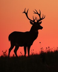 Majestic deer silhouette standing against a stunning orange sunset, creating a serene wildlife scene in nature, perfect for themes of tranquility, wilderness, and natural beauty.

