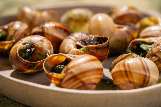 Close-up of baked escargot with butter and parsley