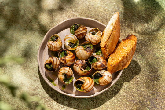 Traditional baked escargot with herbs and crusty bread