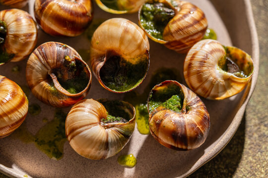 Baked escargot with butter and parsley in close-up