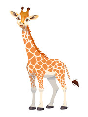 Smiling cartoon giraffe isolated on white background. Animal Characters