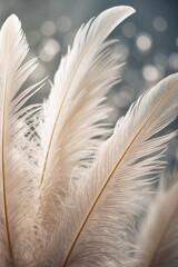 Delicate White Feathers with Dreamy Bokeh Background

