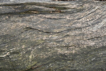 Background, wooden background and old fence