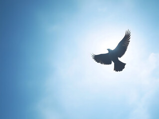 Obraz premium Majestic Raptor Soars Gracefully in the Sky: A Silhouetted Flying Bird Celebrating Freedom and Nature's Beauty at Sunset