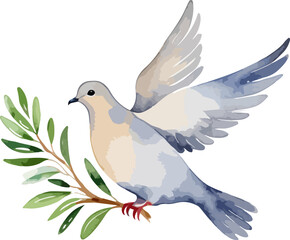 Peace Dove with Olive Branch isolated on a transparent background. Watercolor illustration drawing by hand.