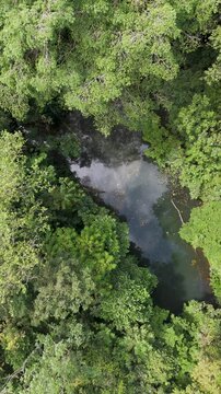 Ecocentro Danaus in Costa Rica near La Fortuna. Forest and jungle area. Drone aerial view.
