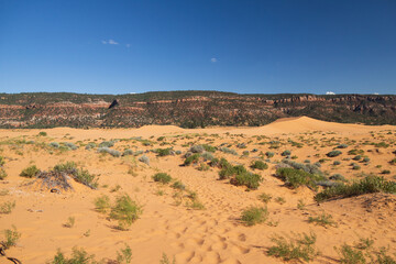Coral Pink Sand Dunes state park, Utah
