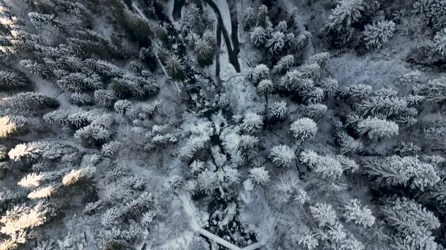 Aerial View of Frozen Falls: A Winter Journey to Triberg 